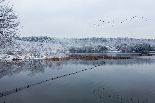 杭州茅家埠雪韵