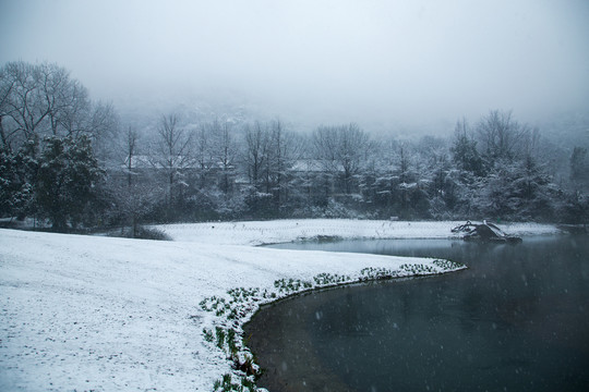 杭州太子湾雪韵