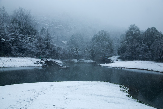 杭州太子湾雪韵