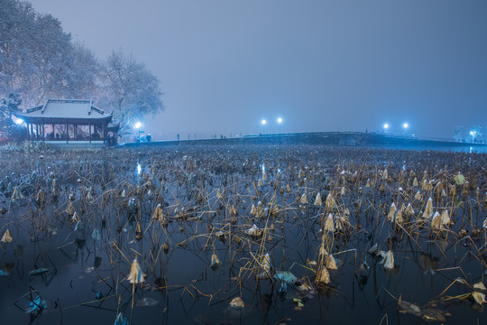 西湖晨雪