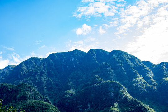 一座青山