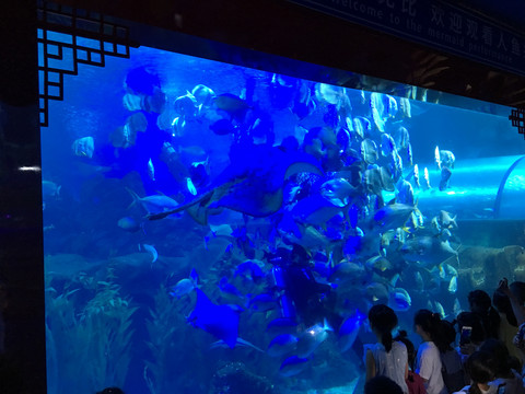 水族馆