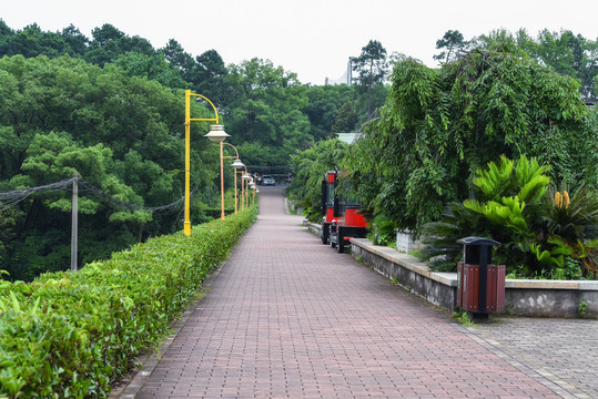 植物园小路