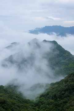 高山云海