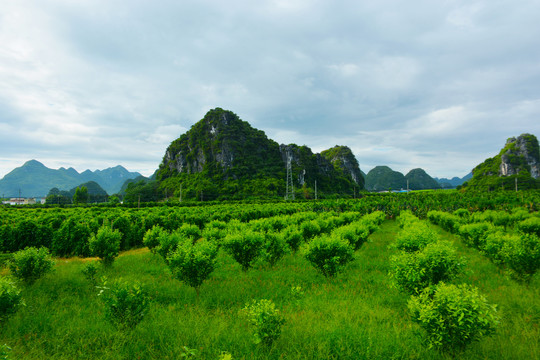 贺州钟山风光