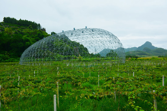 田园田野