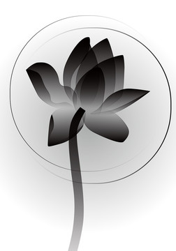 古風(fēng)中秋荷花插畫透明黑蓮花