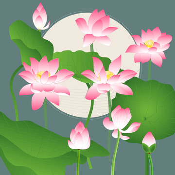 古風(fēng)中秋荷花插畫(huà)粉紅白蓮花