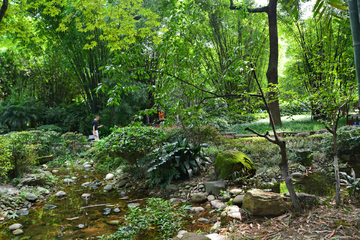 成都望江楼公园风景