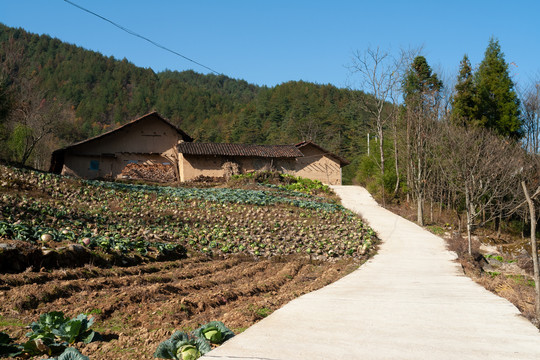 巫山县红椿土家族乡民居