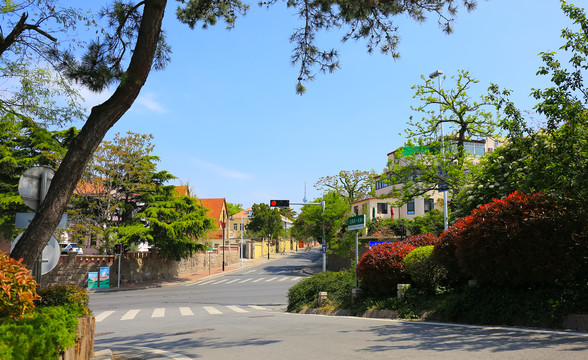 青岛八大关街景