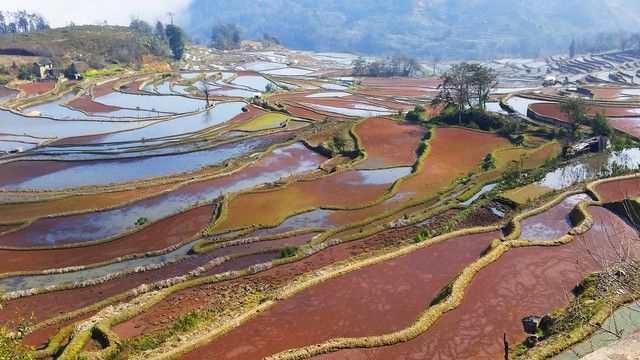 元阳梯田