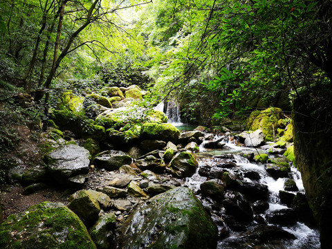 香溪源风景