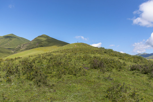 高原风光