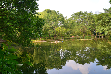 望江楼公园风景