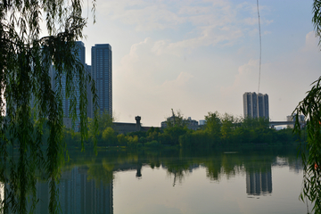 成都东湖公园湖畔风景