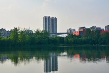 成都东湖公园湖畔风景