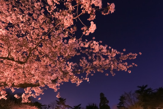 唯美夜景