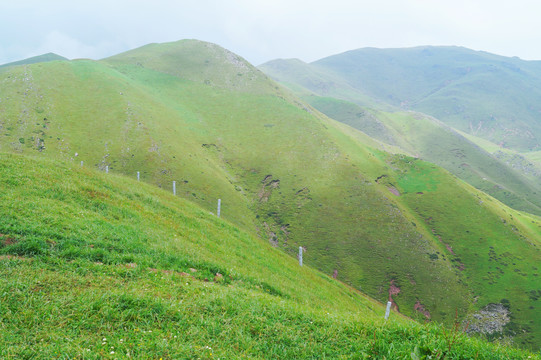 会泽大海草山