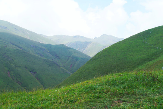 会泽大海草山