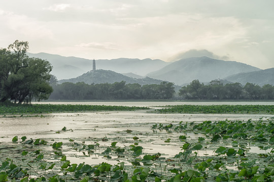 玉泉山