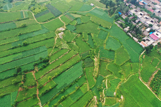 山区梯田风光