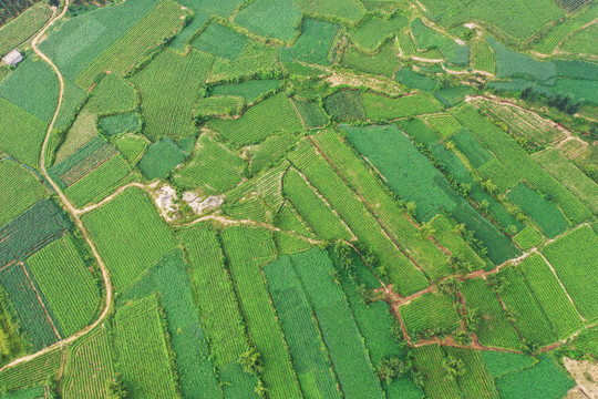 山区梯田风光