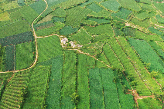 山区梯田风光