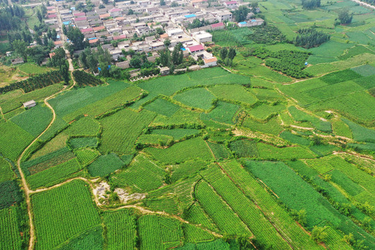 山区梯田风光