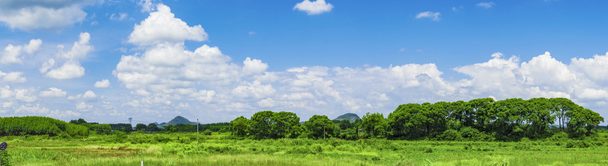 风景