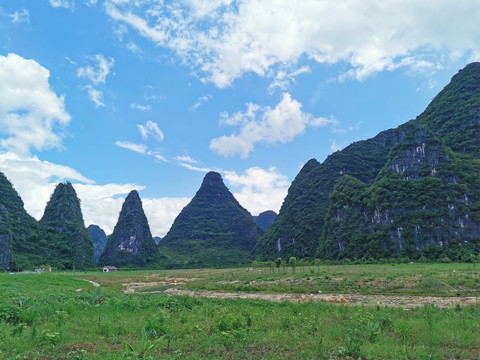 山底间种植