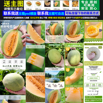 哈密瓜詳情頁
