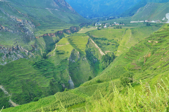 云南大山深处