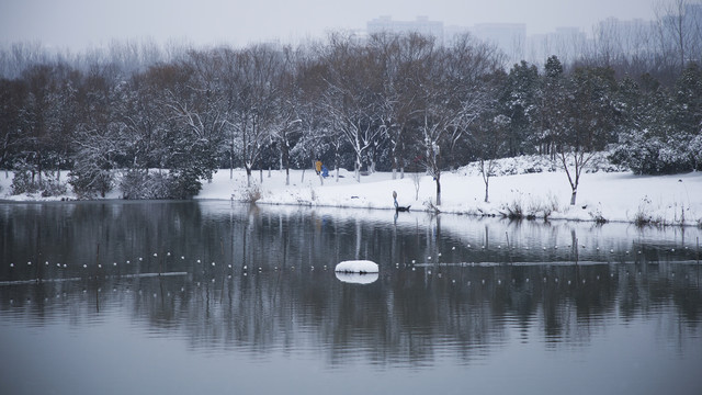 安徽省合肥市翡翠湖风景区雪景