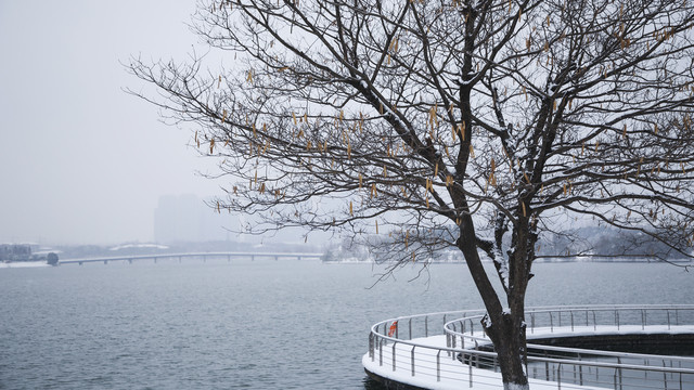 安徽省合肥市翡翠湖风景区冬季雪