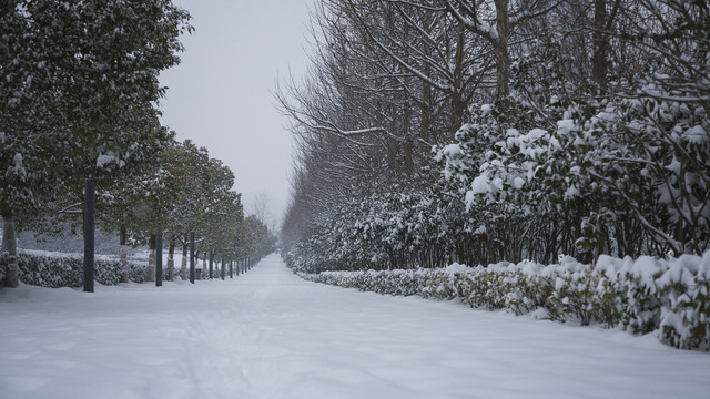 安徽省合肥市翡翠湖风景区冬季雪