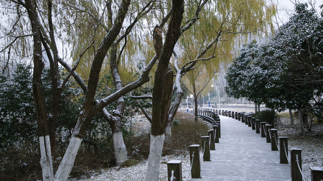 安徽省合肥市翡翠湖风景区冬季雪