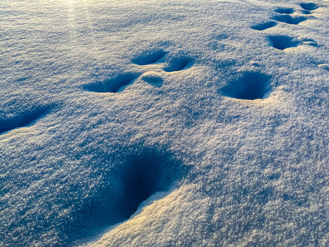 雪地素材