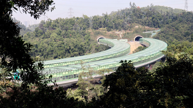 深圳仙湖植物园