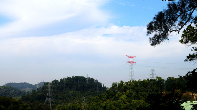 深圳仙湖植物园