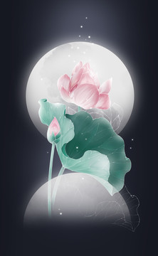 古風(fēng)荷花插畫素材