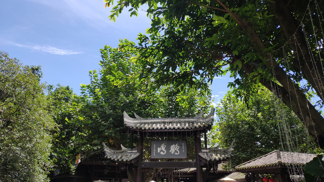 鹤鸣茶社