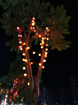 景观树上的红灯笼