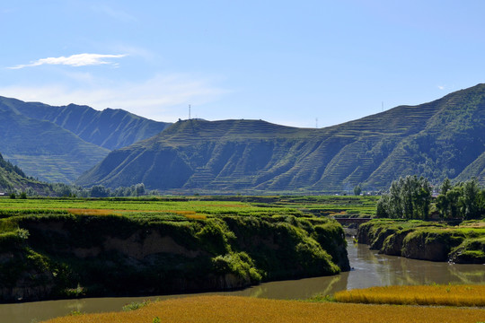 洮河风光