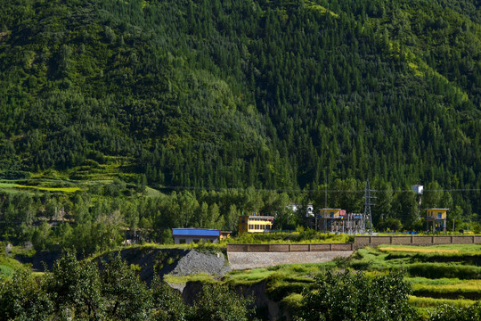 青山绿树