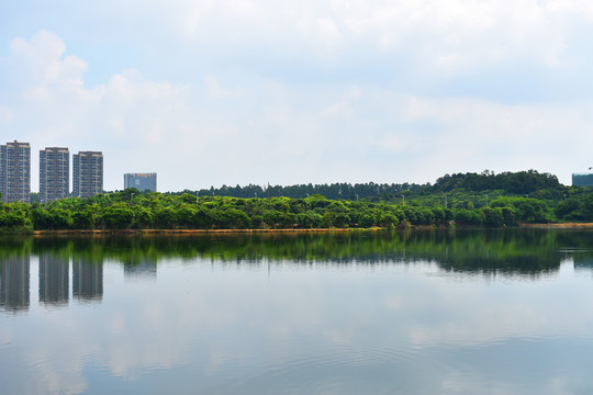 松山湖松湖烟雨风景