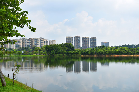 松山湖松湖烟雨风景