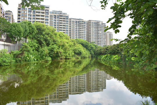 松山湖松湖烟雨风景