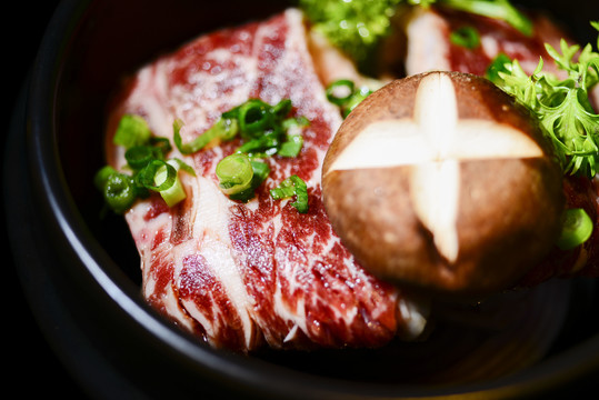 腌雪花牛肉特写