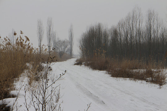 大雪道路